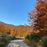 Bergglueck - Gemuetliches Am Traunsee * Altmünster