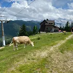Apartament Bergglueck - Gemuetliches Am Traunsee Altmünster