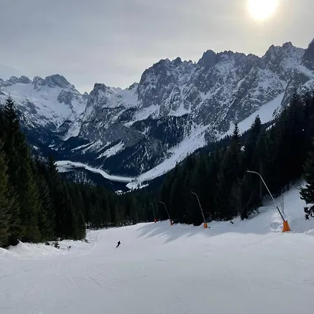 Bergglueck - Gemuetliches Am Traunsee Apartamento
