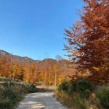 Bergglueck - Gemuetliches Am Traunsee * Altmünster