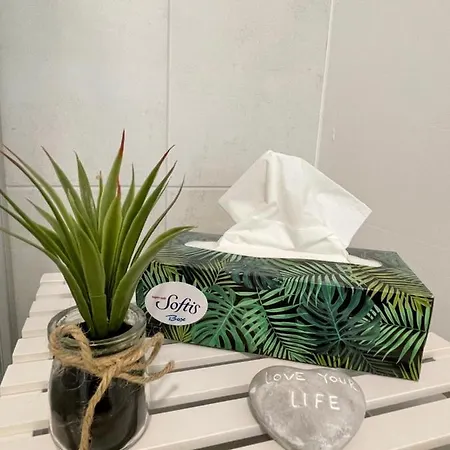 Apartamento Bergglueck - Gemuetliches Am Traunsee Altmünster