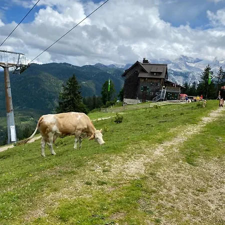 Lägenhet Bergglueck - Gemuetliches Am Traunsee Altmünster