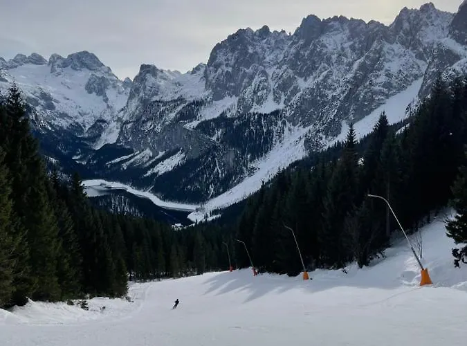 Bergglueck - Gemuetliches Am Traunsee Apartment