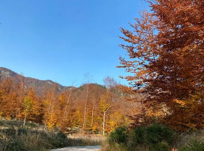 Bergglueck - Gemuetliches Am Traunsee * Altmuenster