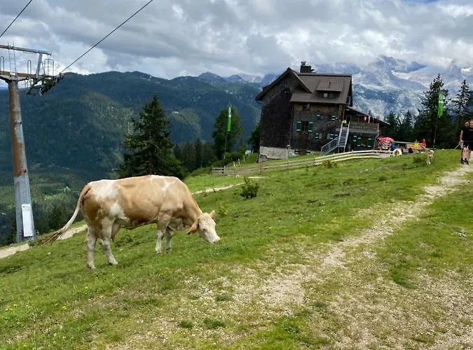 Apartamento Bergglueck - Gemuetliches Am Traunsee Altmünster