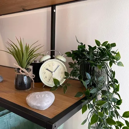 Bergglueck - Gemuetliches Am Traunsee Apartment *