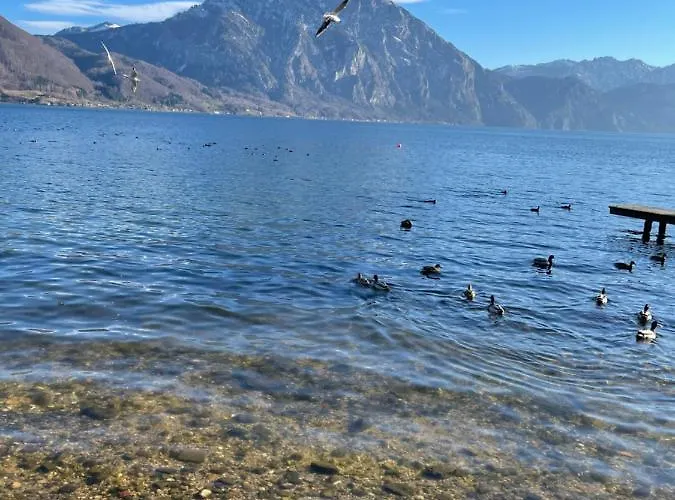 Bergglueck - Gemuetliches Am Traunsee Daire *