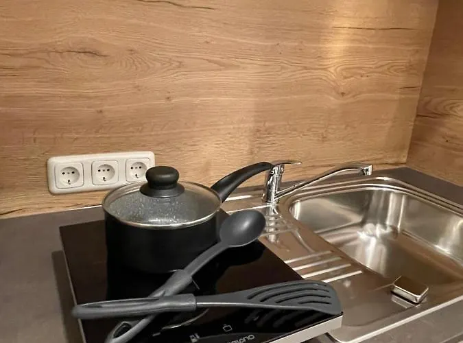 Bergglueck - Gemuetliches Am Traunsee Appartement